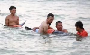 受伤抹香鲸一天两次在三亚搁浅，被送往中科院深海所救治