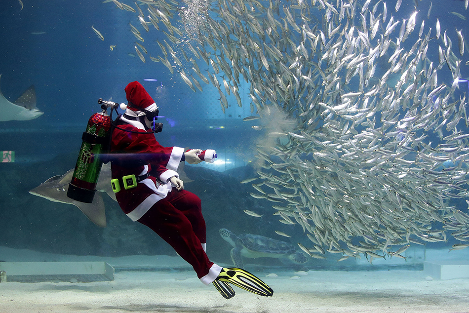 微信图片_20171211081911