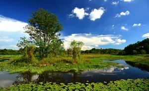 綠色轉(zhuǎn)型⑥｜福建長?。核林卫順影蹇h的生態(tài)之路