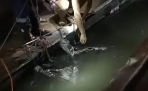 父母在船艙，2歲男童船沿落水溺亡