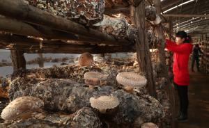 農(nóng)業(yè)部：初步計劃2018年培養(yǎng)100萬以上新型職業(yè)農(nóng)民