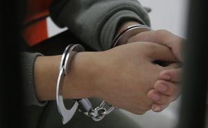 私設(shè)電網(wǎng)獵捕野豬卻電死路人，男子被以危害公共安全罪批捕