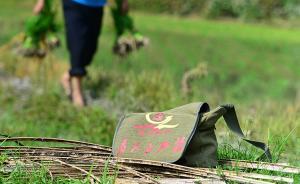 媒体：村民吐槽“非农一代”干不好基层工作，有没有道理？