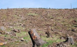 新華社評生態(tài)環(huán)境損害賠償制度：破公地悲劇須明確責任主體