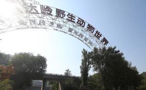 八達(dá)嶺老虎傷人案庭審結(jié)束，園方稱無(wú)過(guò)錯(cuò)不應(yīng)擔(dān)責(zé)