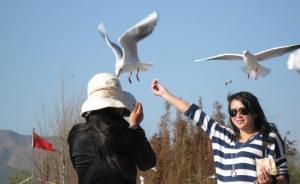 环保部部长《求是》杂志发表署名文章：坚持人与自然和谐共生