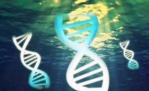 基因编辑治疗遗传耳聋：哈佛大学团队用“贝多芬小鼠”证有效