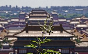 城市品牌的打造