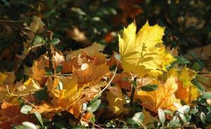 河北省委原常委、省政协原副主席韩立成逝世，享年79岁