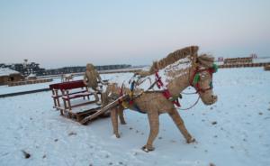 狮子，大象，牛，这公园也都是稻草扎的