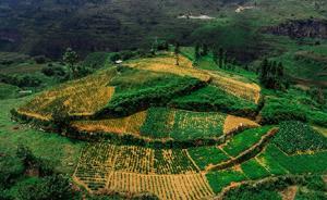 中國橋︱高原上的南京人  
