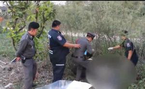 泰國(guó)大象踩踏導(dǎo)游致死｜實(shí)拍所屬旅行社