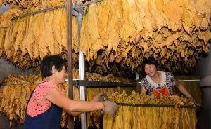 煙葉稅法草案二審，委員建議通過(guò)提高稅率來(lái)提高成品煙價(jià)格