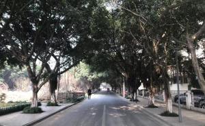 四川德阳回应“中学生呼吁留下学校附近林荫道”：将妥善移栽