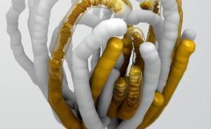 专访丨人造生命核心人物：合成生物学还很年轻，中国力争引领