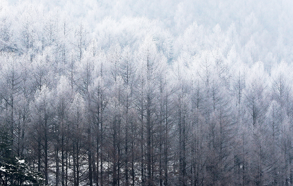 微信图片_20171230083932