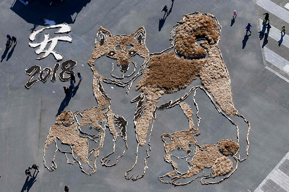 微信图片_20171230083934