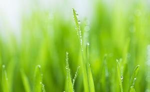 環(huán)境保護稅法實施條例公布，元旦起與環(huán)境保護稅法同步施行