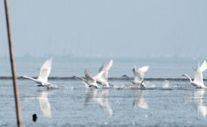 環(huán)境保護稅法實施條例解讀：保障環(huán)境保護稅征收管理順利開展