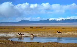 守護(hù)②｜可可西里申遺專家組成員：希望無(wú)人區(qū)繼續(xù)是無(wú)人區(qū)