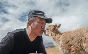 守護(hù)①H5｜用生命保護(hù)生命：可可西里和它的守護(hù)者