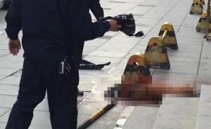 長沙警方回應(yīng)民警當(dāng)街棒殺金毛狗：狗咬傷人，民警未配麻醉槍