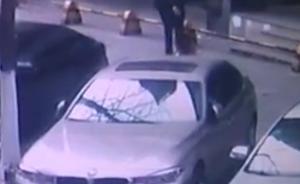 湖南天心民警街頭棒殺金毛，監(jiān)控顯示狗屢次撲向路人咬傷一人