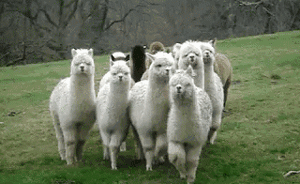 花五千元用唾沫就能測孩子天賦？基因專家：都是為了掙錢