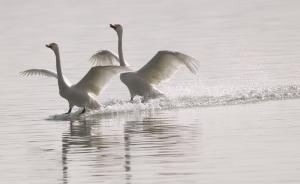 中国环境报：中央环保督察是最引人注目的制度改革