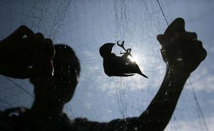 新化森林公安守護(hù)“千年鳥道”，4年破案66起抓嫌犯82名