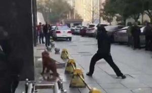 中青报谈民警杀狗被人肉：只爱狗不爱人，作为文明人意义何在