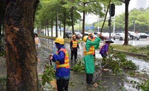 南方電網(wǎng)緊張搶修，“天鴿”登陸一小時后受影響用戶近半恢復(fù)