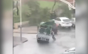 台风天鸽丨男子双手强撑货车，被压身亡