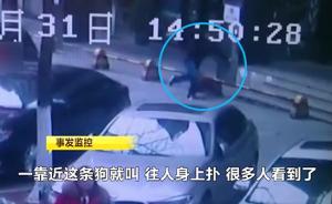 法制日報(bào)談民警殺狗事件：應(yīng)反思如何用法律制裁遺棄犬只行為