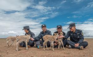 守護(hù)③｜可可西里巡山隊(duì)的二十五年：追盜、陷車、高反、獨(dú)守