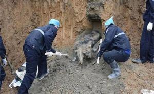 男子入传销遇害被埋，警方切开半座山找