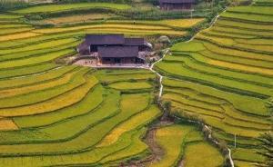 “苗疆”：“國(guó)家化”過(guò)程中的中國(guó)西南少數(shù)民族社會(huì)