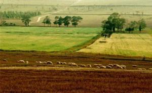 多地對(duì)工業(yè)用地實(shí)行彈性年期出讓，一般出讓年限最長(zhǎng)20年