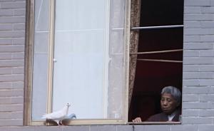 講真｜寺院養(yǎng)老：從臨終關(guān)懷開始的嘗試