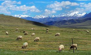 甘肅省政府：祁連山保護(hù)區(qū)生態(tài)問(wèn)題整改已完成上年度整改任務(wù)