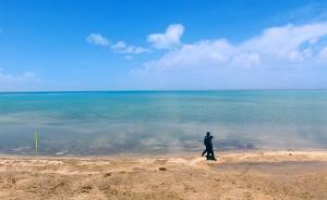 守護(hù)⑥｜全球變暖致可可西里面臨水患：是否人工干預(yù)有待評(píng)估