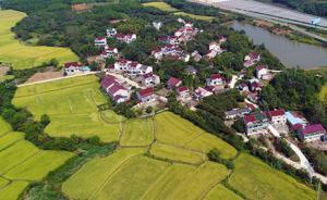 李鐵：允許農(nóng)村集體建設(shè)用地參與城鎮(zhèn)開發(fā)建設(shè)，實現(xiàn)農(nóng)民利益