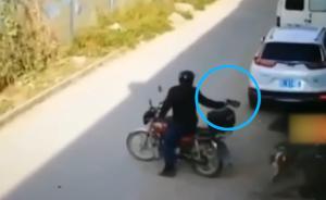 監(jiān)拍：男子持弓弩毒針當(dāng)街射殺狗