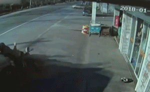 监控曝光:狗主驾车撞击偷狗贼致死