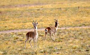 馬上評丨讓隨手帶走垃圾成為旅游標準動作