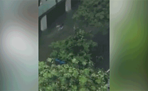 澳门男子暴雨中蝶泳被骂神经，实为救人