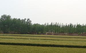 乡居杂记：一个苏北小村庄的历史