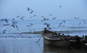 人民日?qǐng)?bào)評(píng)論：與陸域相比海洋生態(tài)保護(hù)力度不夠、懲處偏軟