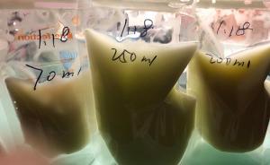 鏡相｜跨越大半個(gè)中國(guó)去奶你