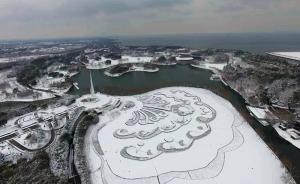 魔都大雪｜東方綠舟：冰天雪地里，有暗香浮動